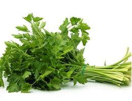 Picture of CORIANDER X-LARGE