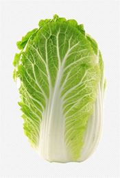 Picture of CABBAGE CHINESE
