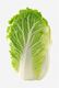 Picture of CABBAGE CHINESE
