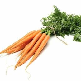 Picture of CARROTS DUTCH
