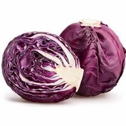 Picture of CABBAGE RED