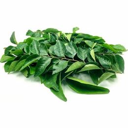 Picture of CURRY LEAVES