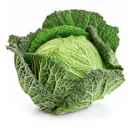 Picture of CABBAGE SAVOY
