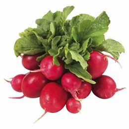 Picture of RADISH RED
