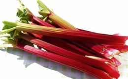Picture of RHUBARB