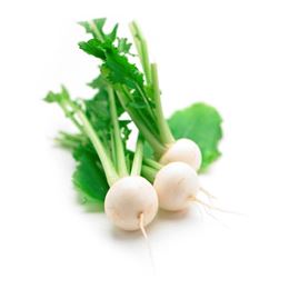 Picture of TURNIPS WHITE