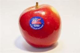 Picture of APPLE JAZZ
