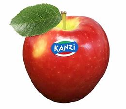 Picture of APPLE KANZI