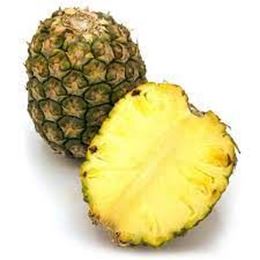 Picture of TOPLESS PINEAPPLE