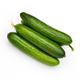 Picture of CUCUMBER LEBANESE