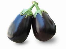 Picture of EGGPLANT LARGE
