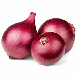 Picture of ONION RED