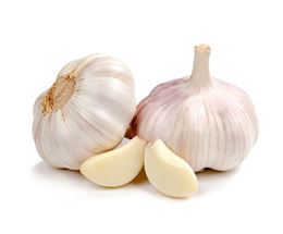 Picture of GARLIC
