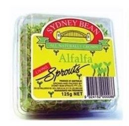 Picture of ALFALFA SPROUTS 120G