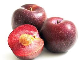 Picture of RED PLUM